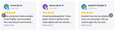 Google Reviews Preview